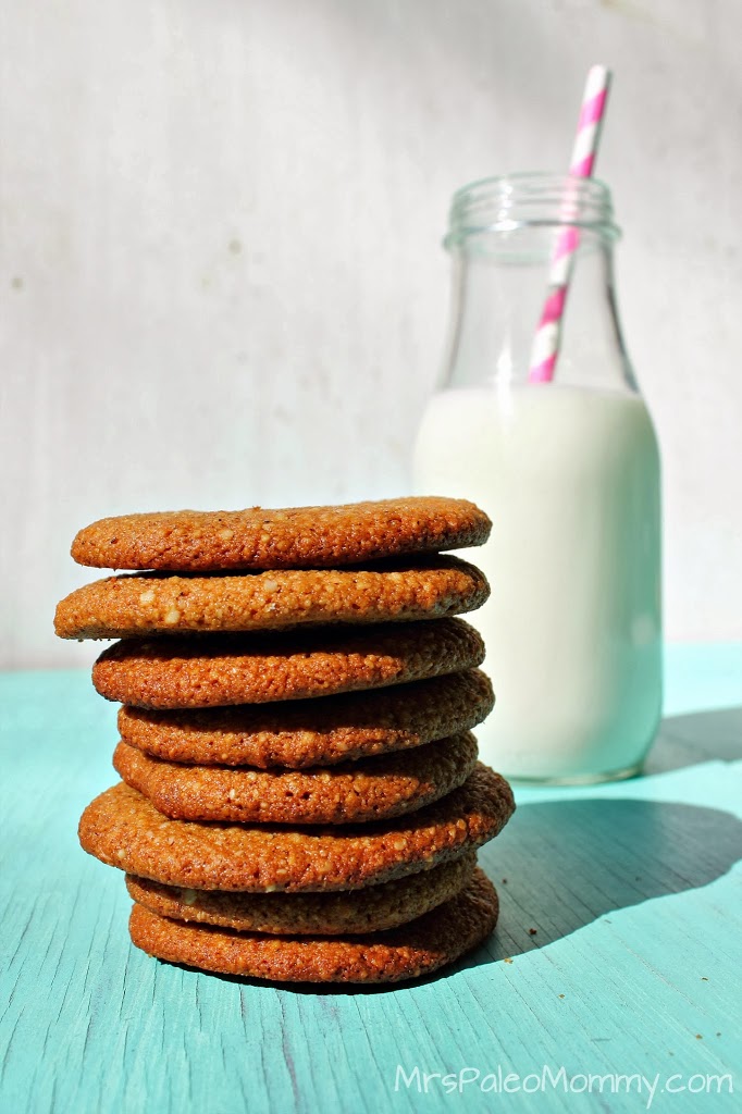 Ginger Snaps and Pumpkin Dip