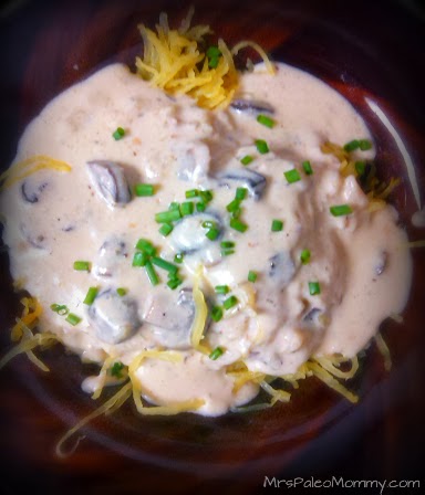 Crock Pot Mushroom Stroganoff