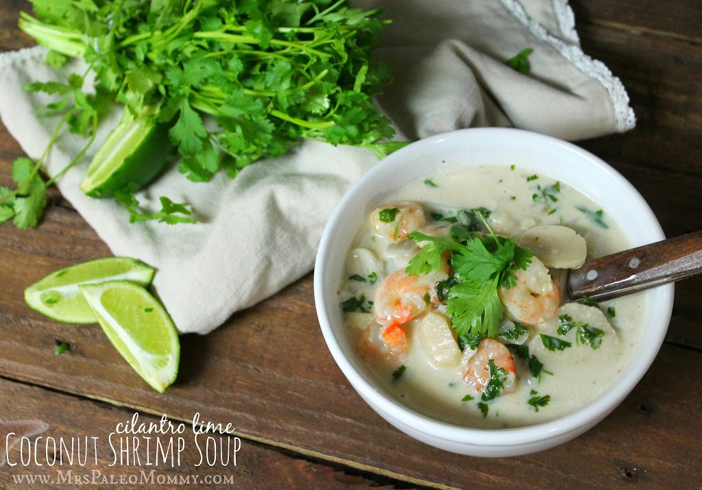 Cilantro Lime Coconut Shrimp Soup