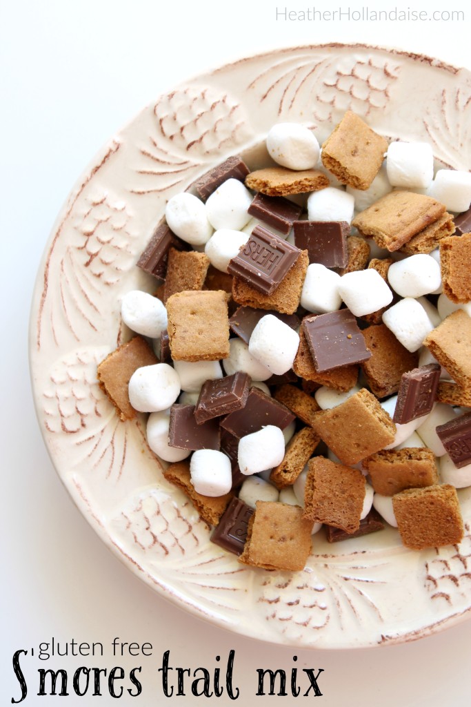 Gluten Free Smores Trail Mix
