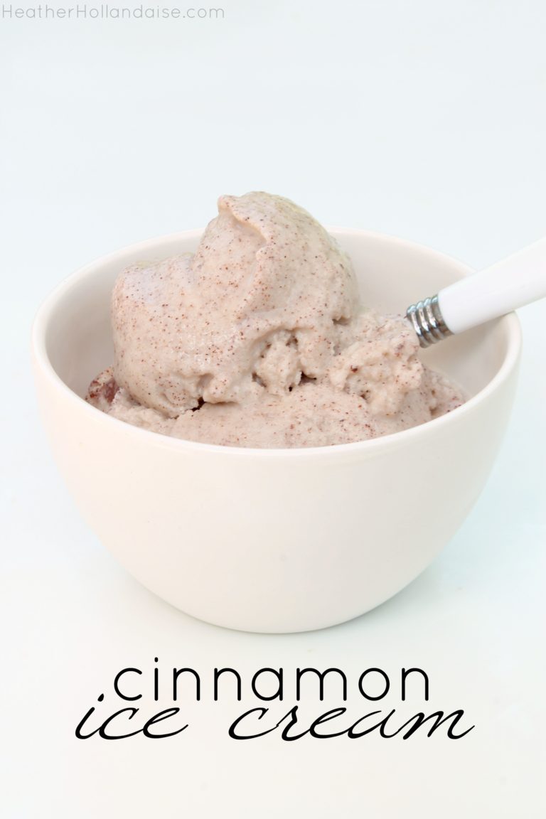 Cinnamon Ice Cream – Paleo & AIP